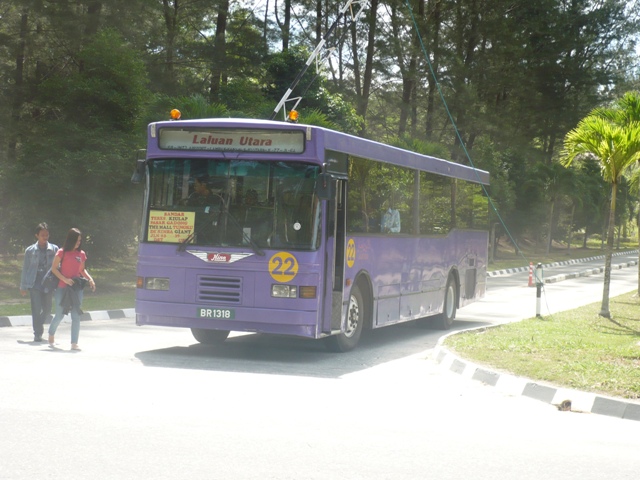 Hino AK Purple bus