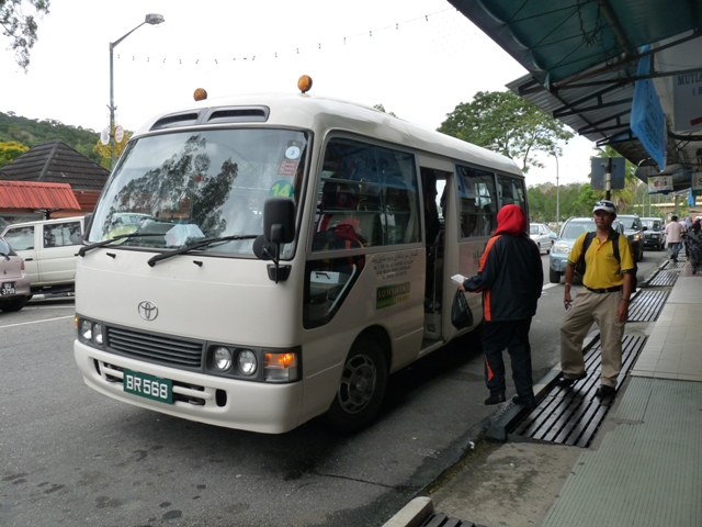 Toyota Coaster 22 seater tourist bus