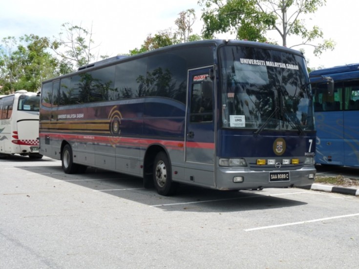 Hino coach no.7