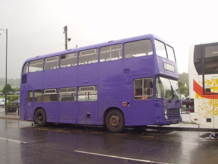 Purple Bristol VR
