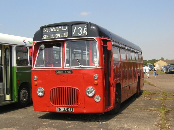 Midland Red