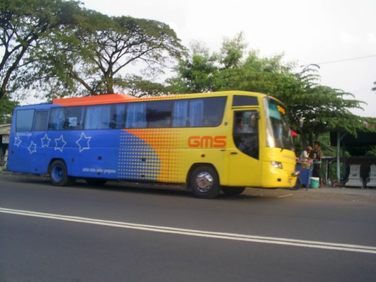 GMS bus