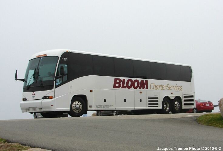 Bloom Charter Services