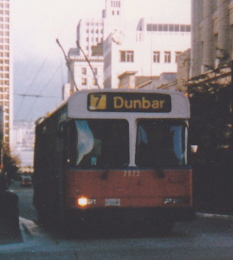 7401.jpg