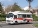 Toyota Coaster  - Egypt