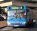 Is Dennis the most popular bus in Peterborough?