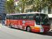 Japan Gray Line Fuso Bus