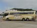 Bakers Dolphin Gold Service