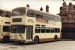 SYT's 262