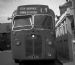 Midland Red HHA646