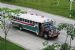 International bus