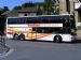 Hamiltons Coaches