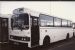 JerseyBus 24