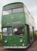 Liverpool City Transport L835