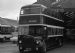 Lockeys Daimler