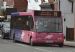 St.Albans Pink